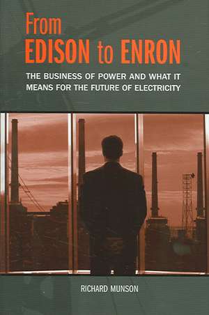 From Edison to Enron: The Business of Power and What It Means for the Future of Electricity de Richard Munson