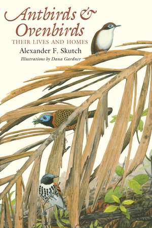 Antbirds and Ovenbirds: Their Lives and Homes de Alexander F. Skutch