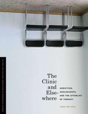 The Clinic and Elsewhere – Addiction, Adolescents, and the Afterlife of Therapy de Todd Meyers