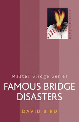 Famous Bridge Disasters de David Bird