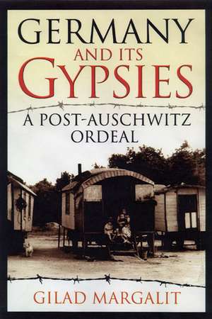 Germany and Its Gypsies: A Post-Auschwitz Ordeal de Gilad Margalit