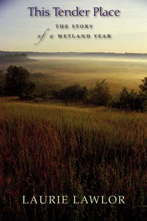 This Tender Place: The Story of a Wetland Year de Laurie Lawlor