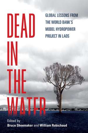 Dead in the Water: Global Lessons from the World Bank's Model Hydropower Project in Laos de Bruce Shoemaker