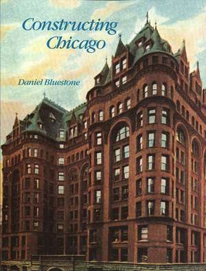 Constructing Chicago de Daniel Bluestone