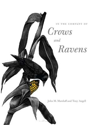 In the Company of Crows and Ravens de John M. Marzluff