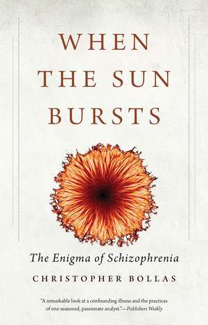 When the Sun Bursts: The Enigma of Schizophrenia de Christopher Bollas