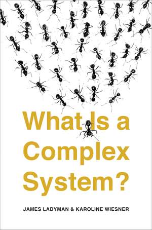 What Is a Complex System? de James Ladyman