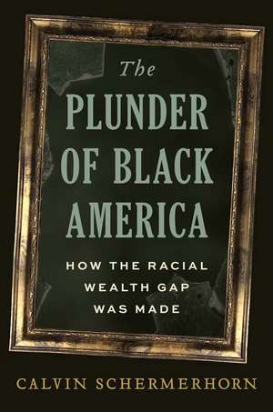 The Plunder of Black America: How the Racial Wealth Gap Was Made de Calvin Schermerhorn