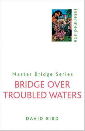 Bridge Over Troubled Waters de David Bird