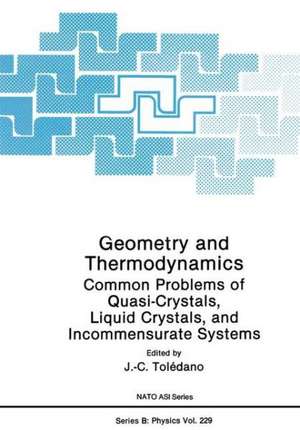 Geometry and Thermodynamics: Common Problems of Quasi-Crystals, Liquid Crystals, and Incommensurate Systems de J. C. Toledano