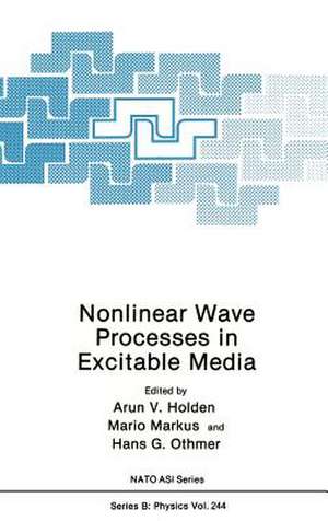 Nonlinear Wave Processes in Excitable Media de Arunn V. Holden