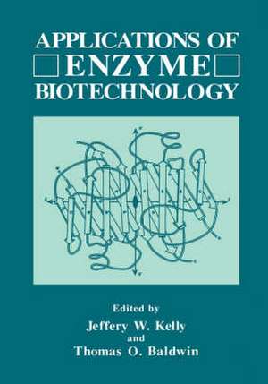 Applications of Enzyme Biotechnology de Jeffrey W. Kelly