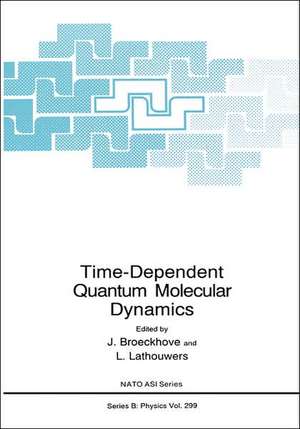 Time-Dependent Quantum Molecular Dynamics de J. Broeckhove