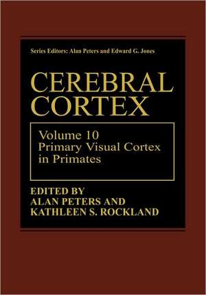 Cerebral Cortex: Volume 10 Primary Visual Cortex in Primates de Alan Peters