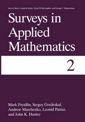 Surveys in Applied Mathematics: Volume 2 de Mark Freidlin