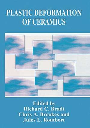 Plastic Deformation of Ceramics de R.C. Bradt