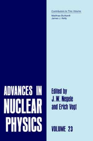 Advances in Nuclear Physics de J. W. Negele