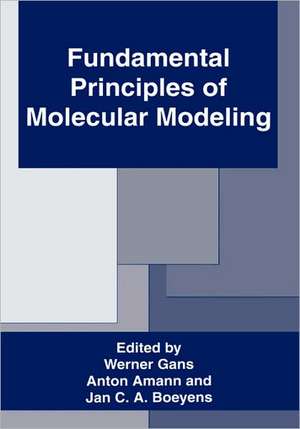 Fundamental Principles of Molecular Modeling de Anton Amann