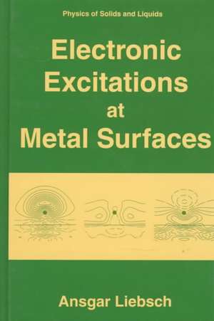 Electronic Excitations at Metal Surfaces de Ansgar Liebsch