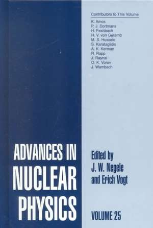 Advances in Nuclear Physics: Volume 25 de J.W. Negele
