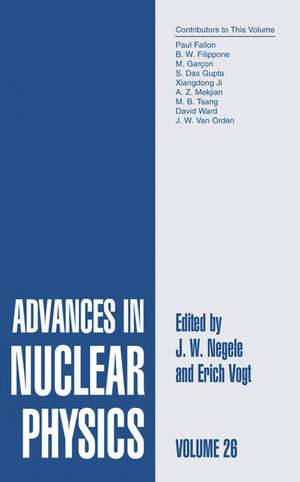 Advances in Nuclear Physics: Volume 26 de J.W. Negele