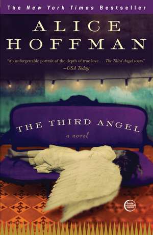 The Third Angel de Alice Hoffman