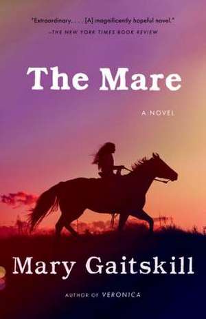 The Mare de Mary Gaitskill