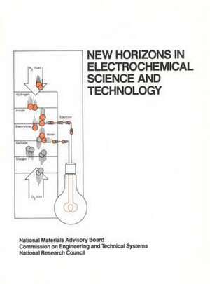 New Horizons in Electrochemical Science and Technology de National Research Council