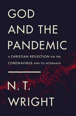 God and the Pandemic: A Christian Reflection on the Coronavirus and Its Aftermath de N. T. Wright