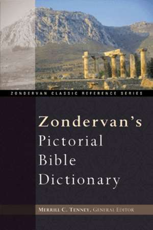 Zondervan's Pictorial Bible Dictionary de J. D. Douglas