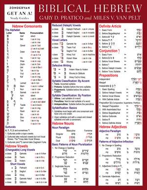 Biblical Hebrew Laminated Sheet de Gary D. Pratico