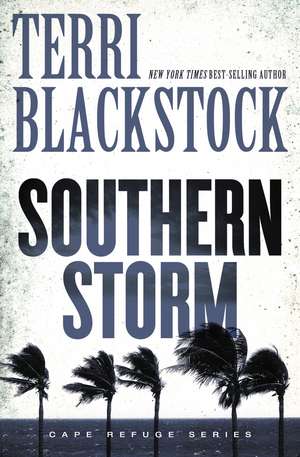 Southern Storm de Terri Blackstock