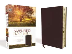 Amplified Holy Bible, Bonded Leather, Burgundy, Thumb Indexed: Captures the Full Meaning Behind the Original Greek and Hebrew de Zondervan