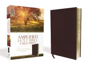 Amplified Holy Bible, Large Print, Bonded Leather, Burgundy: Captures the Full Meaning Behind the Original Greek and Hebrew de Zondervan