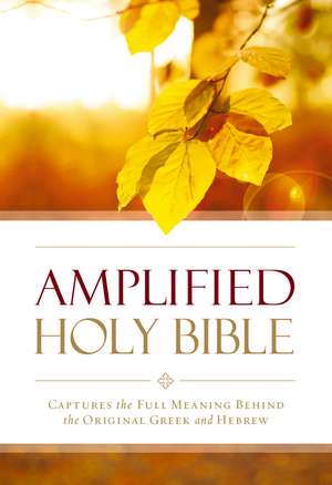 Amplified Outreach Bible, Paperback: Capture the Full Meaning Behind the Original Greek and Hebrew de Zondervan