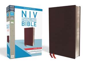 NIV, Thinline Bible, Large Print, Bonded Leather, Burgundy, Red Letter, Thumb Indexed, Comfort Print de Zondervan