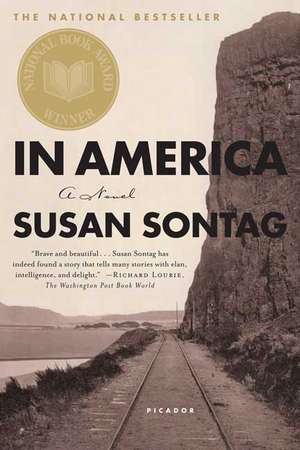 In America: A Brief Guide de Susan Sontag