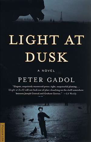 Light at Dusk de Peter Gadol