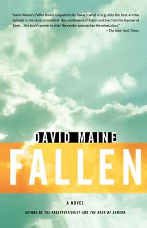 Fallen de David Maine