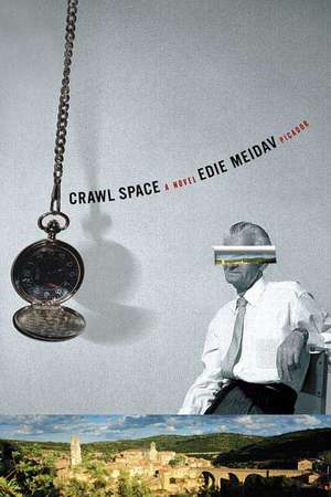 Crawl Space de Edie Meidav