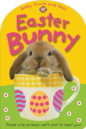 Easter Bunny de Priddy Books