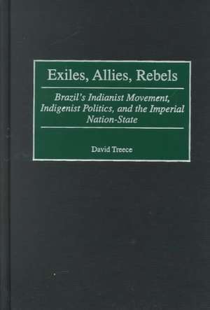 Exiles, Allies, Rebels: Brazil's Indianist Movement, Indigenist Politics, and the Imperial Nation-State de David Treece