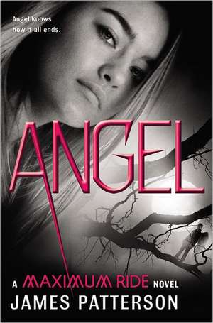 Angel: A Maximum Ride Novel de James Patterson