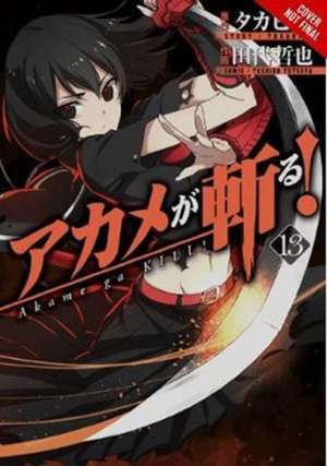 Akame ga KILL!, Vol. 13 de Takahiro