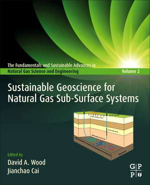 Sustainable Geoscience for Natural Gas SubSurface Systems de David Wood