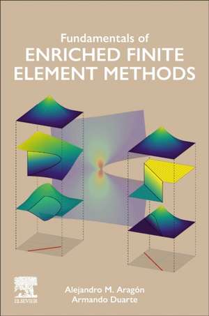 Fundamentals of Enriched Finite Element Methods de Alejandro M. Aragón