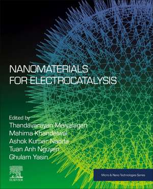 Nanomaterials for Electrocatalysis de Thandavarayan Maiyalagan