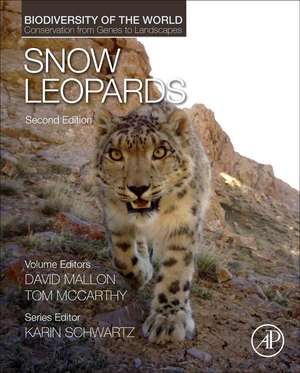 Snow Leopards de Tom McCarthy