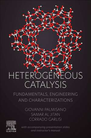 Heterogeneous Catalysis: Fundamentals, Engineering and Characterizations (with accompanying presentation slides and instructor's manual) de Giovanni Palmisano