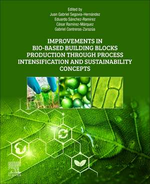 Improvements in Bio-Based Building Blocks Production Through Process Intensification and Sustainability Concepts de Juan Gabriel Segovia-Hernandez